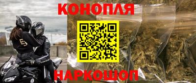 молекула духа Будённовск