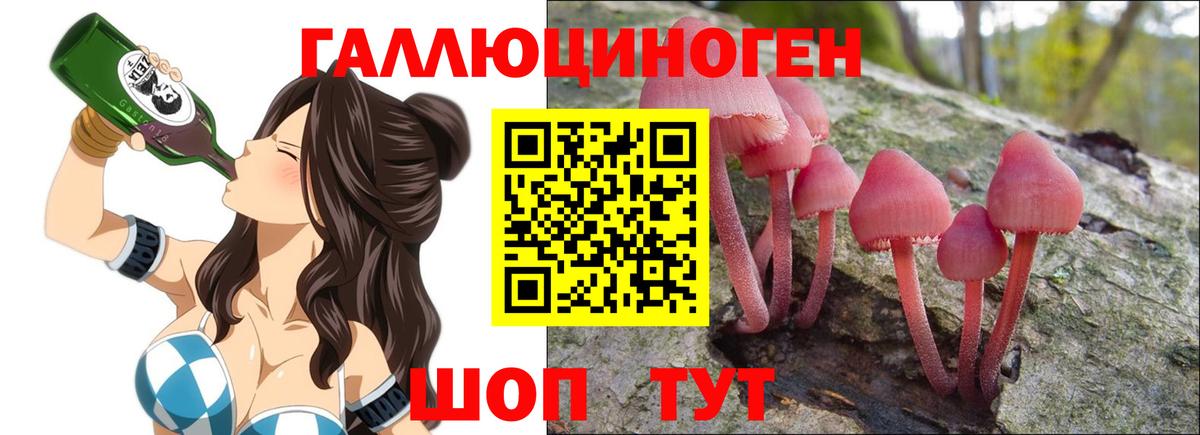 Псилоцибиновые грибы GOLDEN TEACHER Балашов