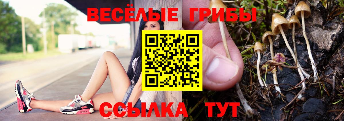 Псилоцибиновые грибы прущие грибы  Псилоцибиновые грибы прущие грибы  Вход с VPN  Балашов 
